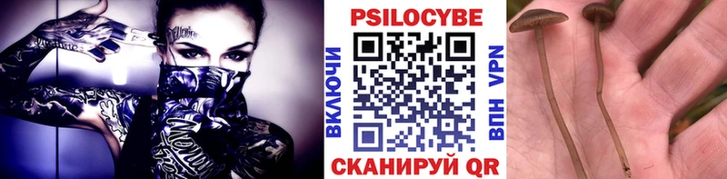 Галлюциногенные грибы Magic Shrooms  Чаплыгин 
